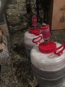 Initial vinification